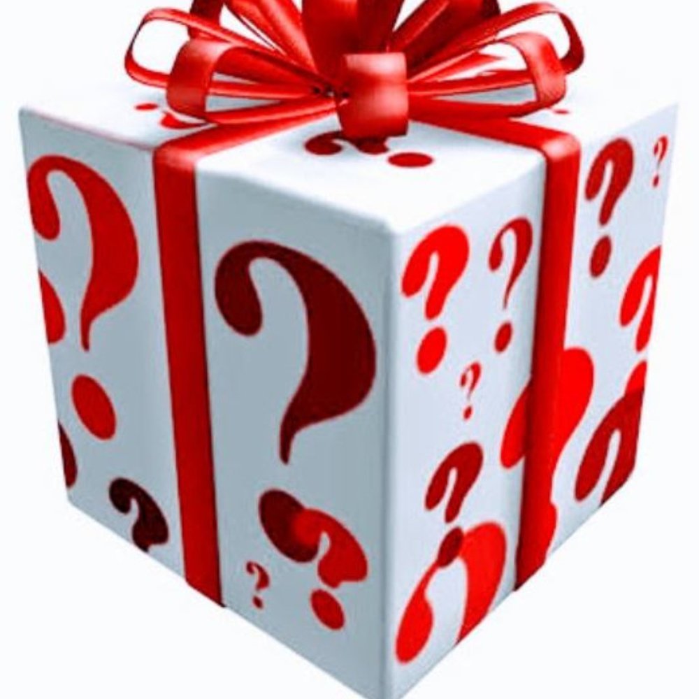 MPL Seattle Boutique Mystery Box Size 2X NWT